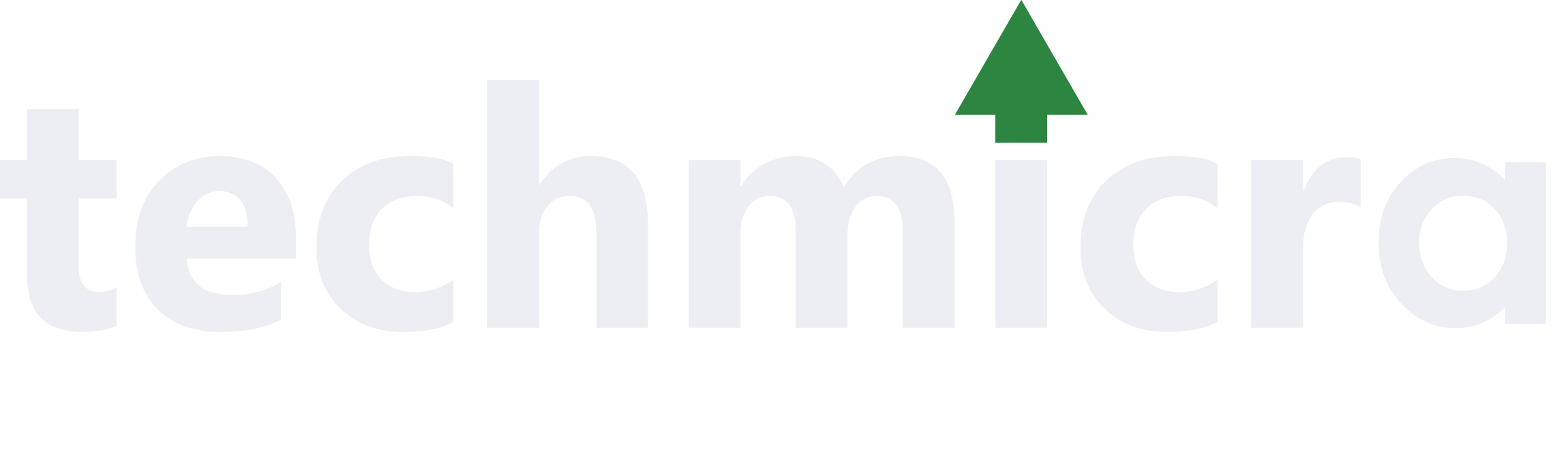 Techmicra IT Solutions logo