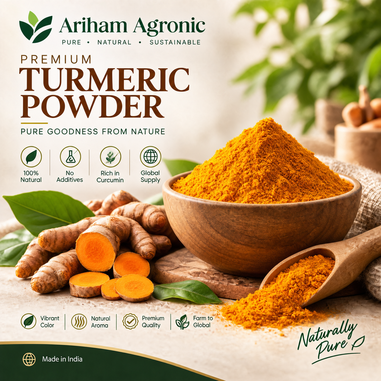 Turmeric Powder