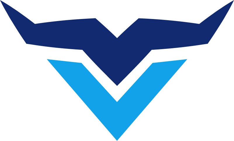 Veemi Accounting Solutions logo